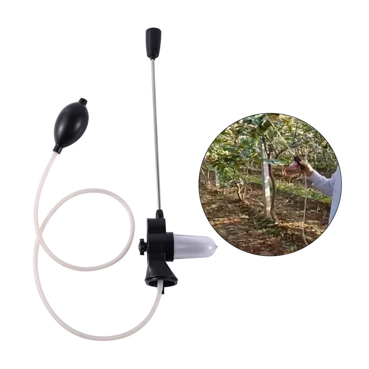 Telescopic Rod Pollen Pollinat - đánh giá và giá Fishing Rod Telescopic